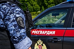   Московские росгвардейцы задержали мужчину, находящегося в федеральном розыске