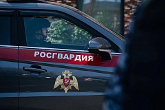    В Москве росгвардейцы задержали водителя разыскиваемого автомобиля