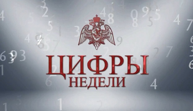 Итоги служебно - боевой деятельности за неделю подвели в подразделениях Главного управления Росгвардии по городу Москве. Подразделениями специального назначения выполнено около 30 задач по силовому сопровождению специальных мероприятий. 