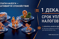 Что делать, если налоговое уведомление не получено