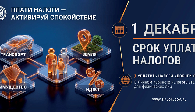 До 1 декабря декабря срок уплаты налогов