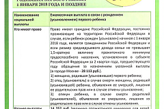 Информация о ежемесячной выплате в связи с рождением (усыновлением) первого ребенка