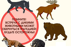 Нежданные гости